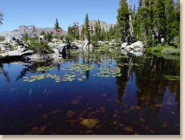 Fallen Leaf Lake